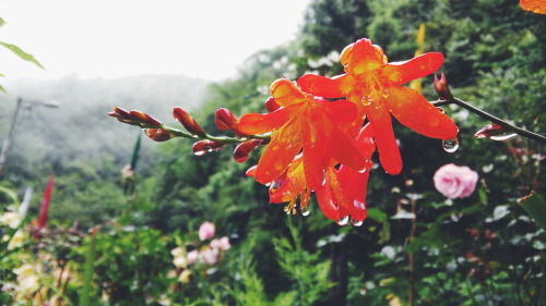 North-east India. (Gangtok)