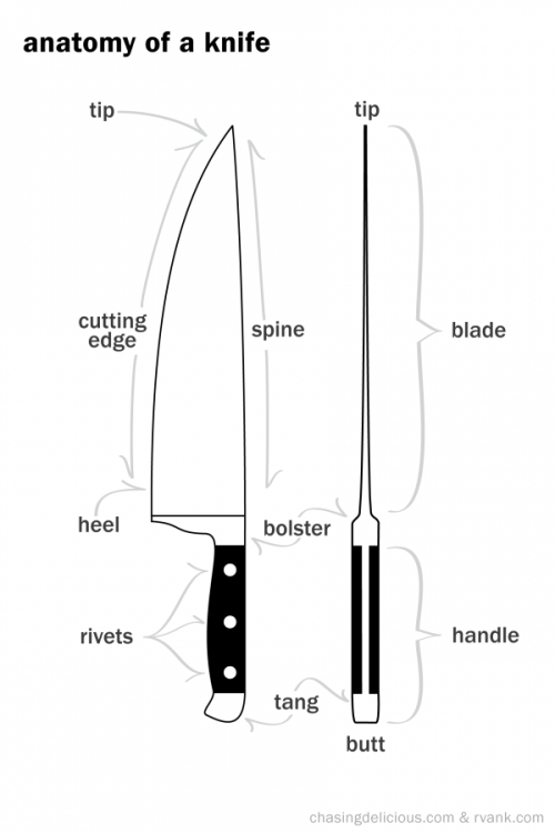 alucardharry:parts of a knnife, basic knife cuts and different types of knivescourtesy of: ch