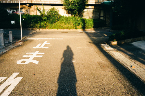 yasu19-67:Kodak GOLD200／夕染