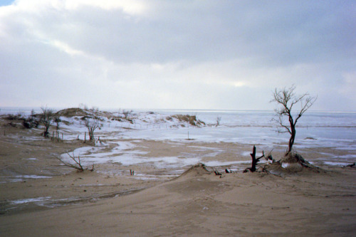 Two More Shots From The Silver Lake Dunes.