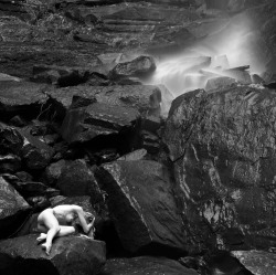 “Yield” Royal National Park -