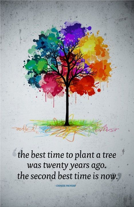 posters-for-good:“The best time to plant a tree was twenty years ago. The second best time is now.” 