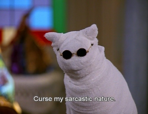 joysticks-n-dragons:assiraphales:  assiraphales:  this might be a bold statement but I think one of the best character designs to exist in television is salem saberhagen, a warlock punished for trying to take over the world & forced to live as a cat