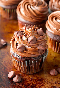 do-not-touch-my-food:  Chocolate Cupcakes