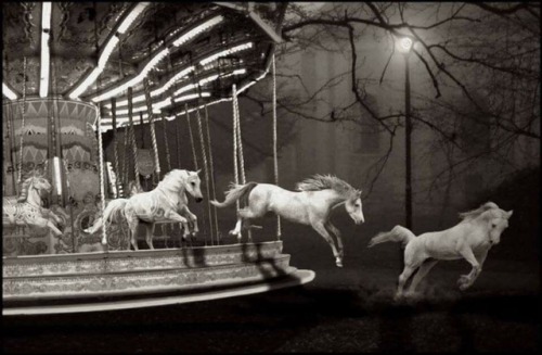 merry go round