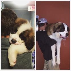 awwww-cute:  1 year and 141 pounds later…