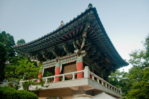 lovesouthkorea:  Donghaksa by theaucitron 