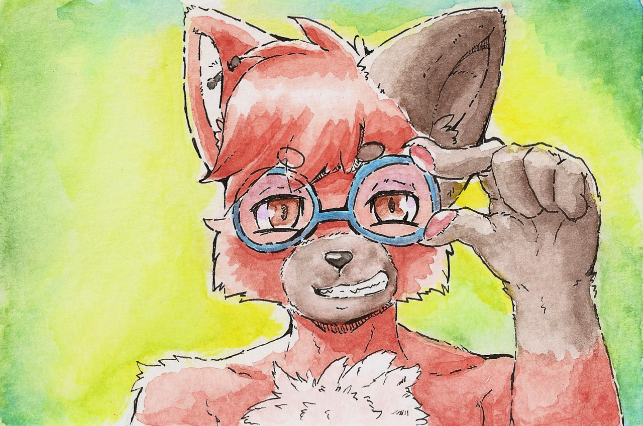 Gar&rsquo;s red panda-Soot  postcardwinsor &amp; newton watercolour postcardgrumbacher