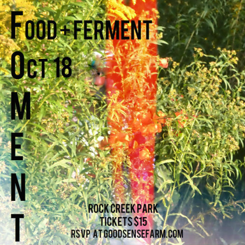 Join us for an elaborate rumor. #FOMENTDC will take you on a trot through the woods in search of the