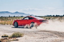 carsbyvovikkov:  Ford Mustang GT