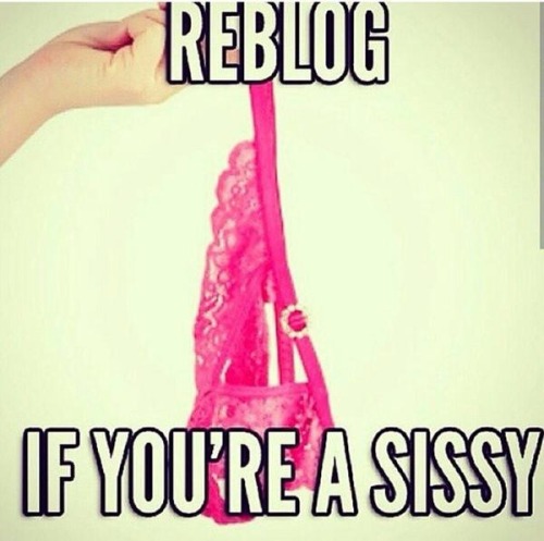 sissybitch0717:I am a sissy bitch