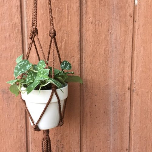  Plant Hanger // FourStrands4Co 