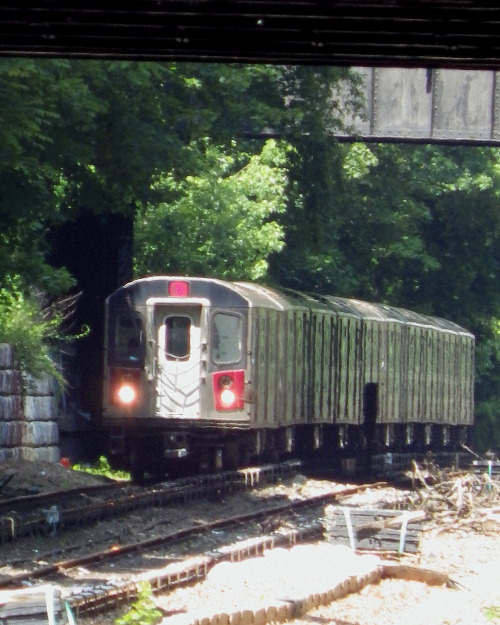 wanderingnewyork: A No. 5 train approaches the Gun Hill Road Station.