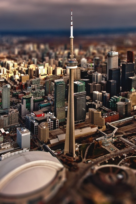 visualechoess:  Toronto