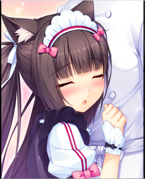 onulohayou:  Chocola （￣ε￣＠） 