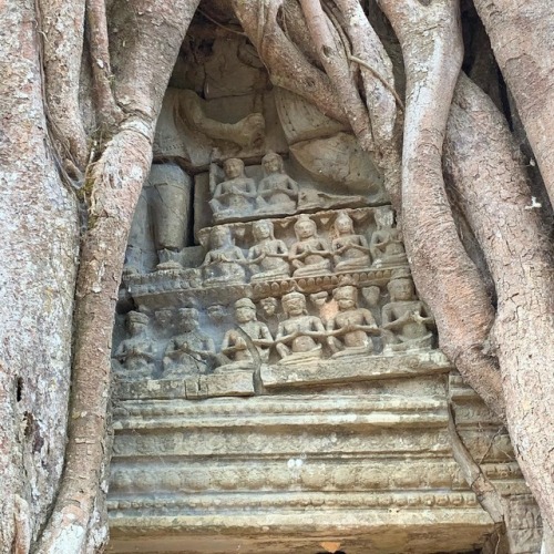 hinducosmos:Ta Som Temple, Angkor, CambodiaEerie, enchanted Ta Som temple near Angkor Wat. Looking f