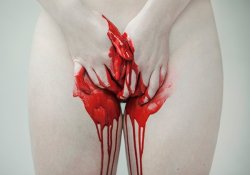msjanssen:EVELYN BENCICOVA