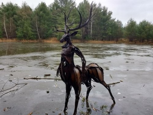 elodieunderglass: vandorendra: ex0skeletal: Deer Centaur Sculpture At Stevens Point Sculpture Park, 