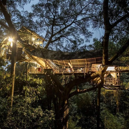 utwo: rain forest Ttreehouse © The Gibbon Experience 