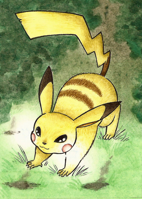 Oh Gaw, Pikachu! So Much Pressure! Its The Mascot Of The Whole Franchise! Raichu Was Much More Relaxing