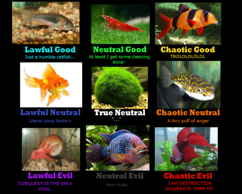 sith-lord-kuvira:Freshwater aquarium alignment chart. Because reasons. 
