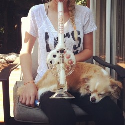 frosty-chronic:  mm swiss perc
