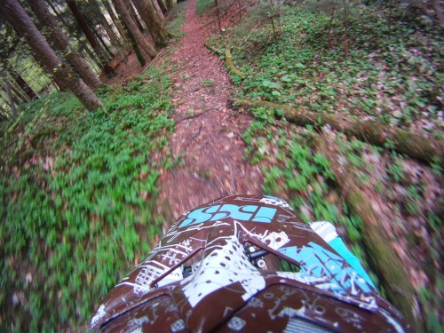 greinerjuliexo: Julie Greiner