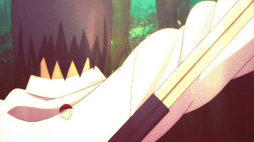 The Naruto Fandom.