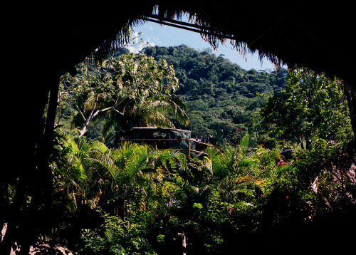 syntheticlivesblog:  Outside Puerto Vallarta. Mamiya 645