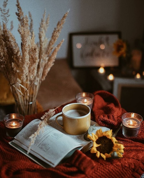 A Cozy Place 