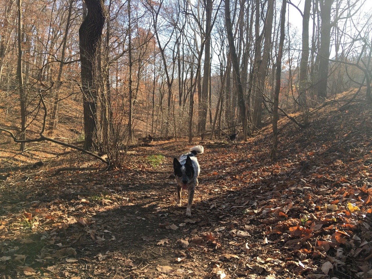 camdamage: camdamage:  Real good hike with the boys today ❤️❤️  How are we