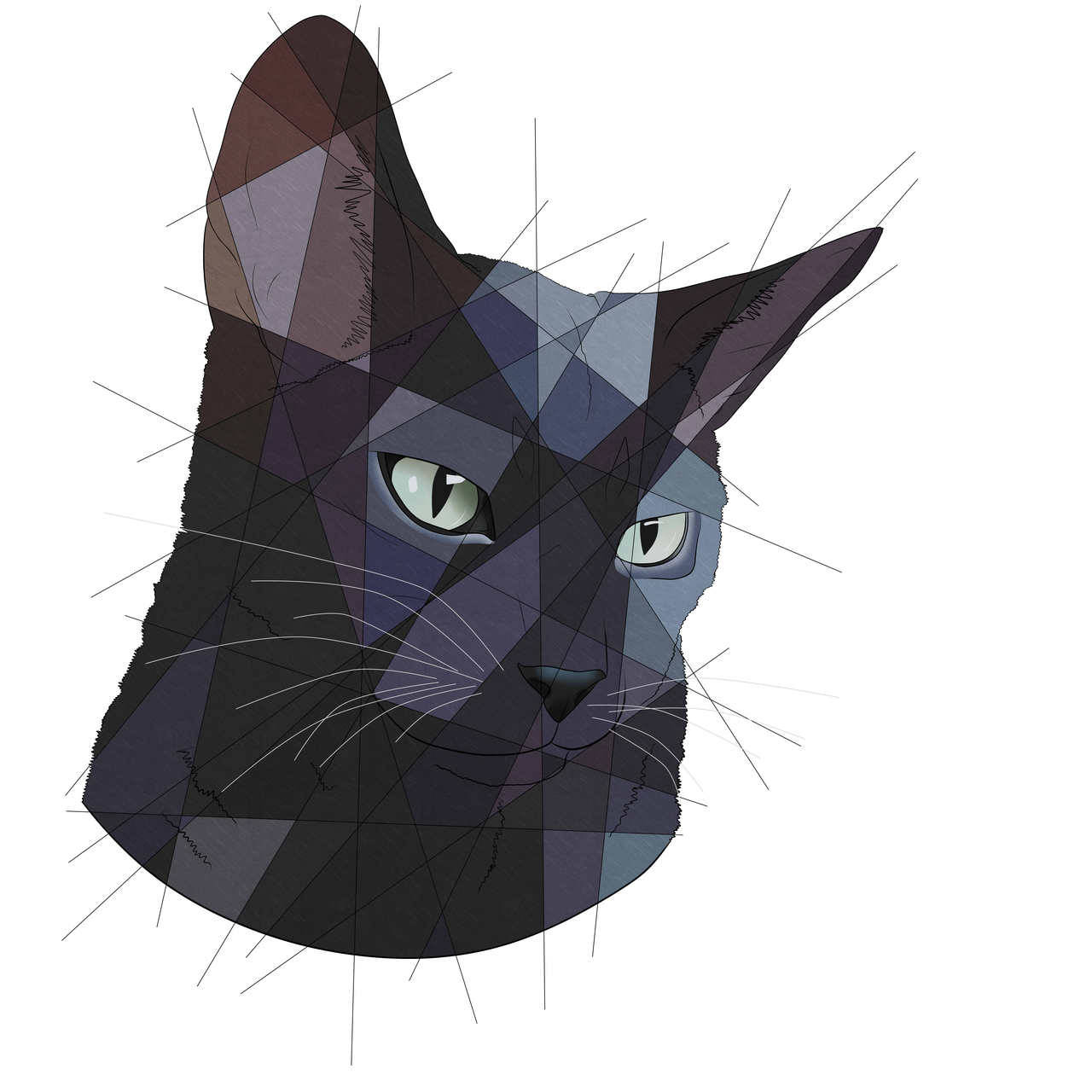 thelizart:  Hey guys so as most of you know I’m doing geometric style commissions