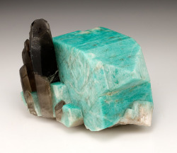 bijoux-et-mineraux:Amazonite and Smoky Quartz