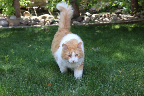 coolcatgroup: remybell: A boy approaches. He!!!!