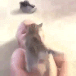 tastefullyoffensive:  &ldquo;Prepare to meet your maker, hairless giant!&rdquo;