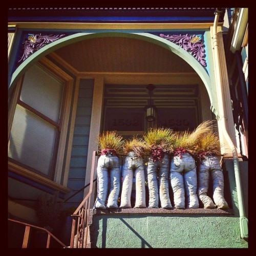 mollyblock: Jeans repurposed as planters — awesome sight to see in San Francisco. ❤ 