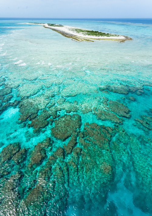 7000stars:  Deserted island, fringing coral reef, clear blue water! (by ippei + janine) 