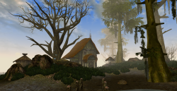 shieldsthis:-The Elder Scrolls III: Morrowind-a