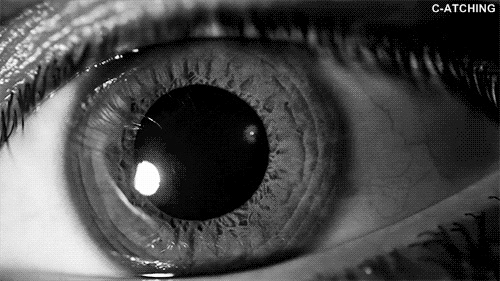 blaaancik:  Untitled on We Heart It. 