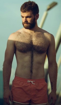 hairyben4233:Perfection