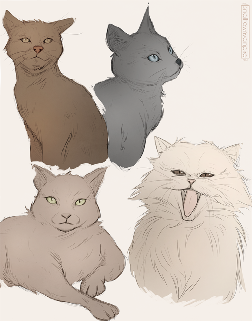 smalltownvampire:this is the first time i’ve ever drawn cats ! (or anything else that isn’t a human 