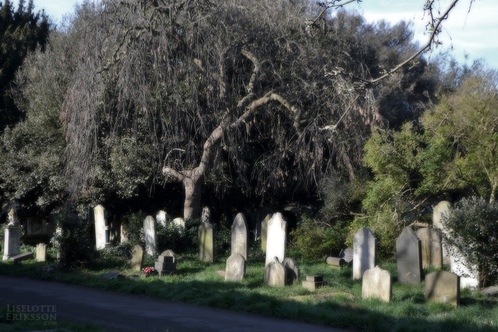liselotte-e:  Brompton Cemetery, London, UK. 