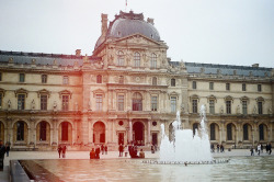 tangledleaves:  Musée du Louvre 