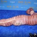 assiraphales:assiraphales:I love that heidi klum, international super model and tv personality, was like “I’m going to be a worm for halloween” and went for the most horrifying hyper realistic version possible and was quoted saying (in said worm