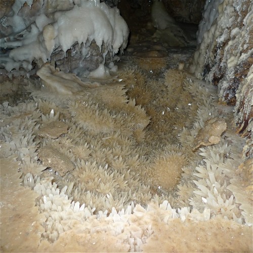 ifuckingloveminerals: Calcite L’Aguzou Cave, Escouloubre, Aude, Languedoc-Roussillon, France