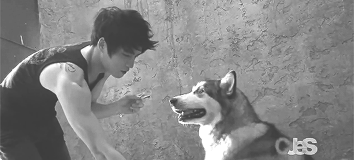 taiyou-no-teki-deactivated20131:   Kim Jaejoong the Tamer  