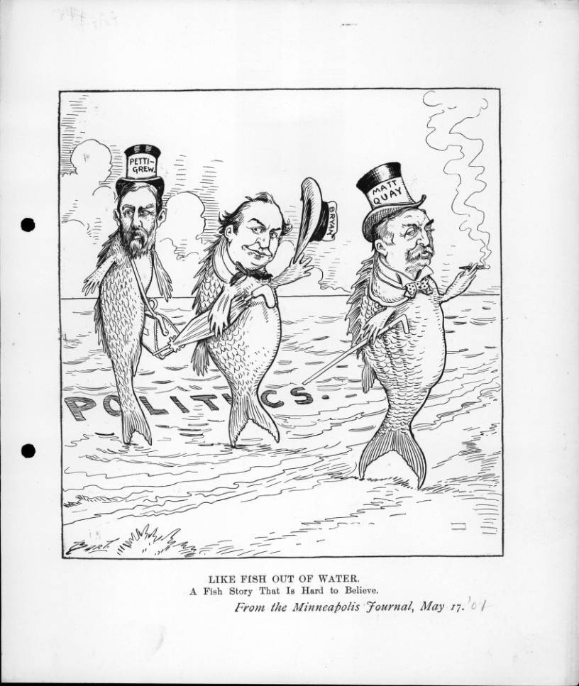 1900scartoons:
“ Like Fish Out of Water May 17th, 1901
Matt Quay, William Jennings Bryan, and Richard Pettigrew as fish emerge onto the shore from the ocean of politics.
The caption reads “A fish story that is hard to believe.”
According to the New...