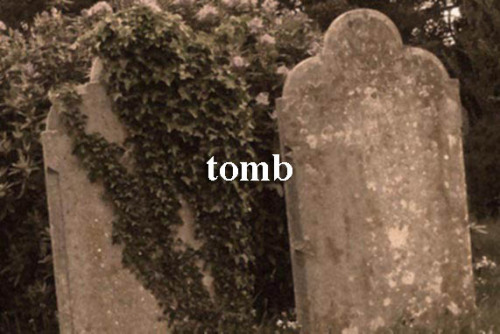 gaygent-romanoff:Since before I was even here at all. I get it now; you understand. Your ma was righ