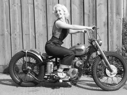 Sex Triumph Bikes pictures