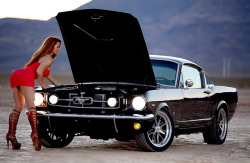 ford-mustang-generation:  1965 Ford Mustang